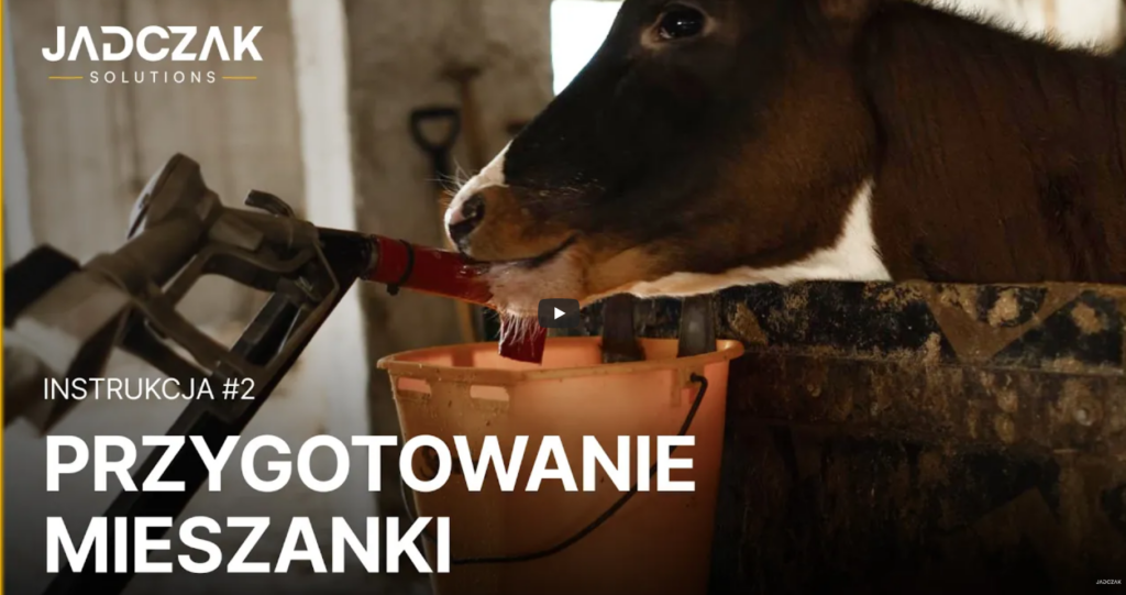 Miniatura filmu instruktażowego pokazującego przygotowanie mieszanki mlecznej dla cieląt.